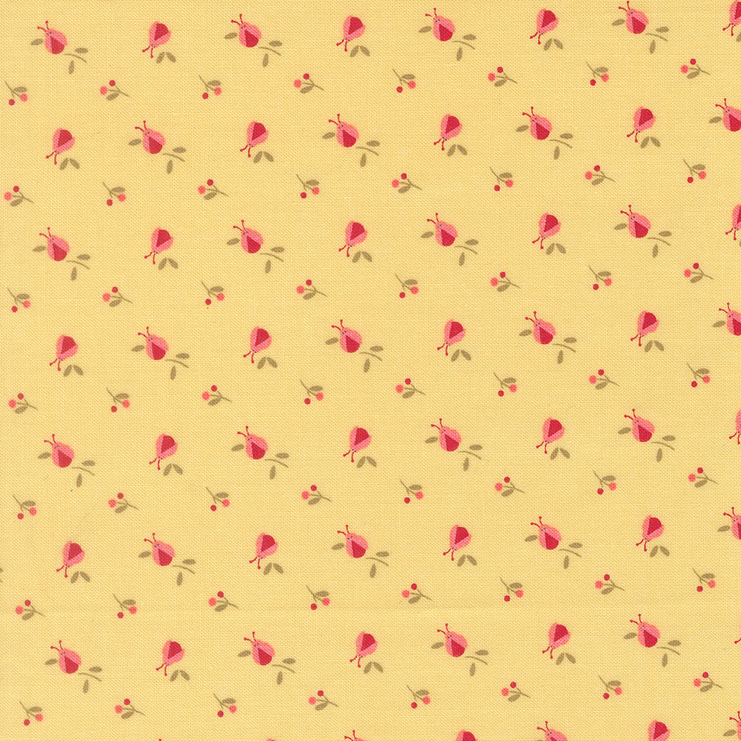 Lyda Rose SUNWASHED Lady Bugs Novelty yardage