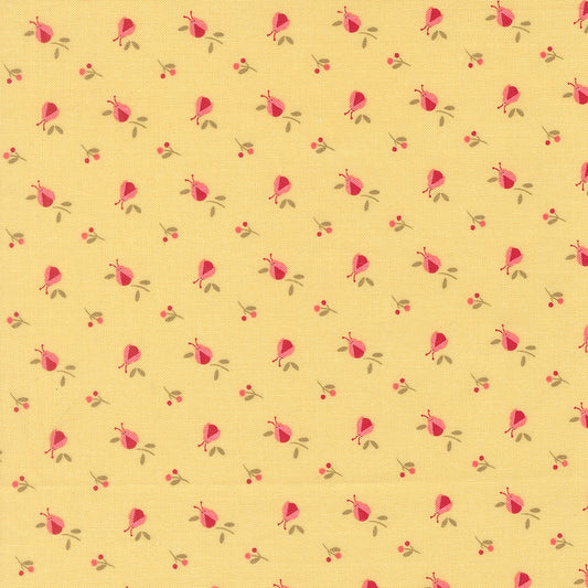 Lyda Rose SUNWASHED Lady Bugs Novelty yardage