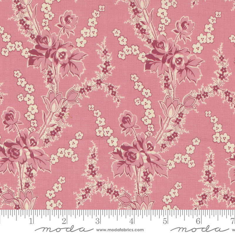 Goodnight Irene Irene's Garden Carnation by Betsy Cutchian for Moda Fabrics 31700-11 scale