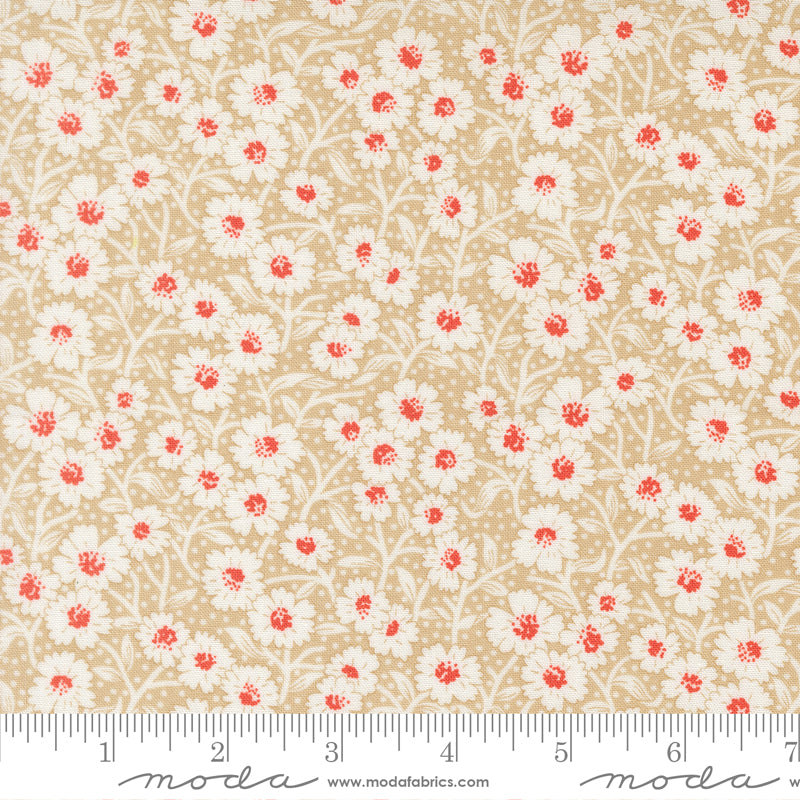 Rosie Picnic Blooms Garden Path scale