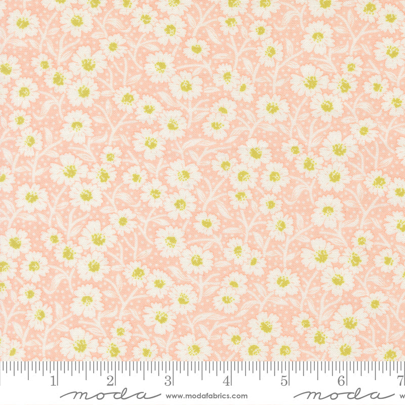 Rosie Picnic Blooms Rose scale