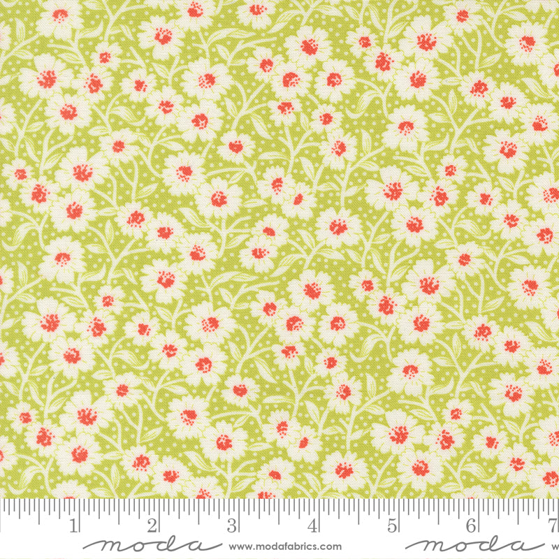 Rosie Picnic Blooms Green Apple scale