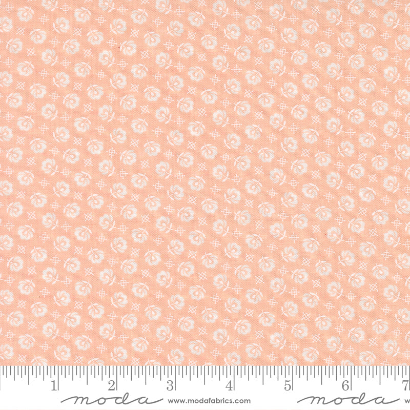 Rosie Prairie Toss Rose scale