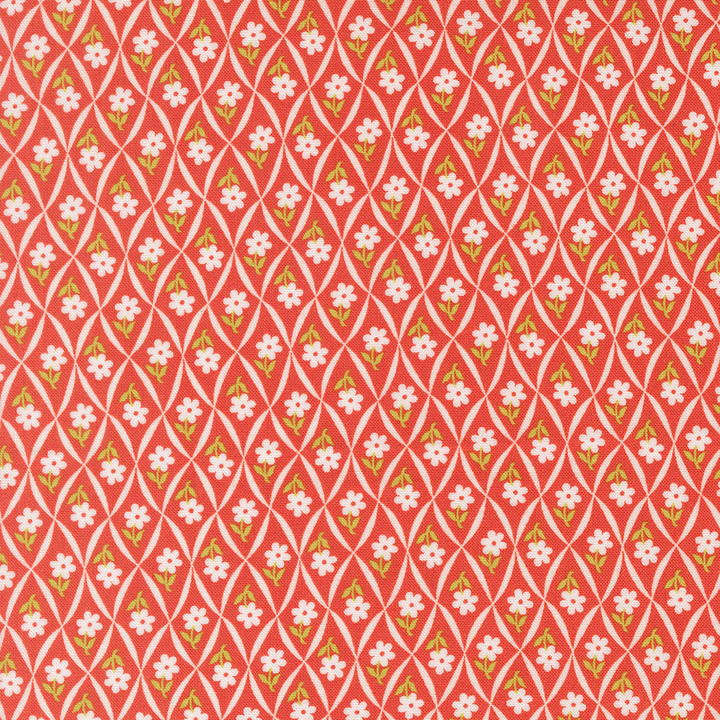 Rosie Climbing Daisy Strawberry by Fig Tree Co for Moda