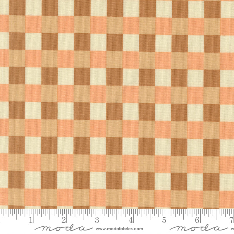 Sunlit Ruins Gingham Cloud Checks and Plaids Toast scale