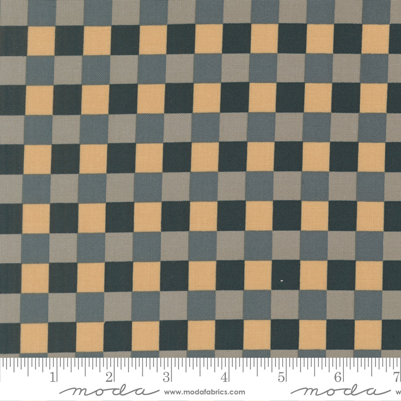 Sunlit Ruins Gingham Cloud Checks and Plaids Nightfall scale