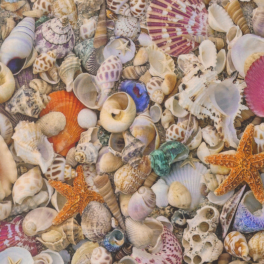 Saltwater Multi Seas The Day Novelty Sea Shells yardage