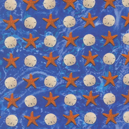 Saltwater Dark Blue Sandy Beach Novelty Sand Dollar Starfish yardage