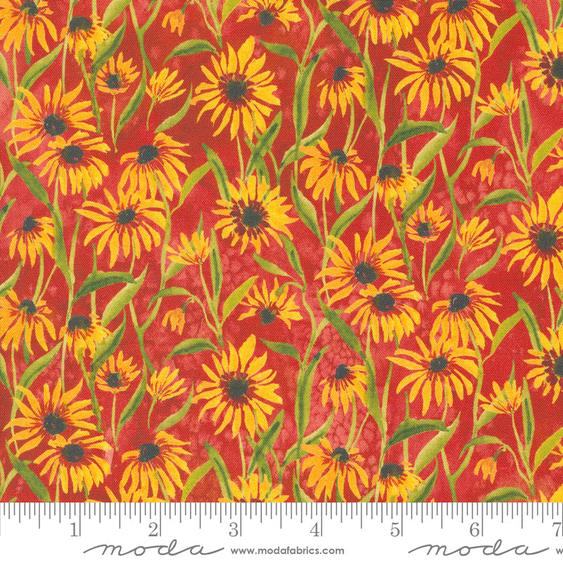 Floribunda Blackeyed Suzi Q Florals Sunflowers Spice by Create Joy Project for Moda Fabrics 39805-14 scale