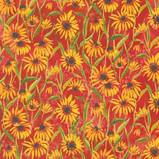 Floribunda Blackeyed Suzi Q Florals Sunflowers Spice by Create Joy Project for Moda Fabrics 39805-14