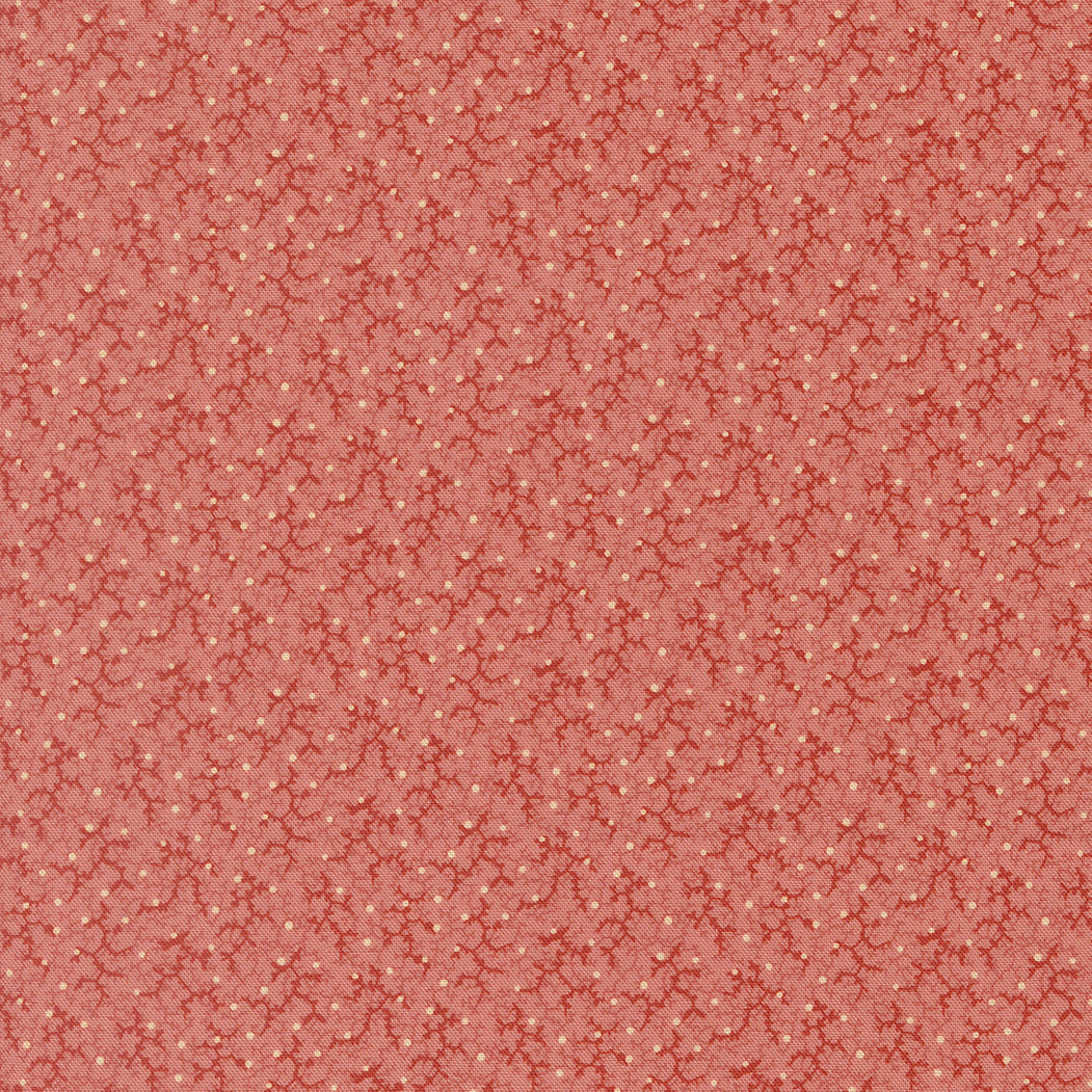 Pamelias Path Brambles Blenders Pink by Betsy Chutchian for Moda