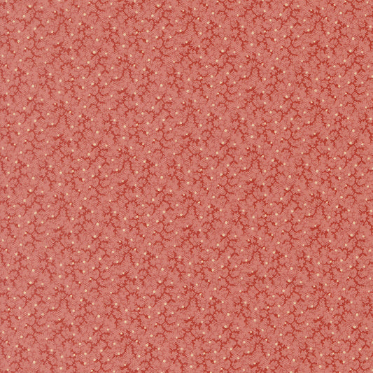 Pamelias Path Brambles Blenders Pink by Betsy Chutchian for Moda