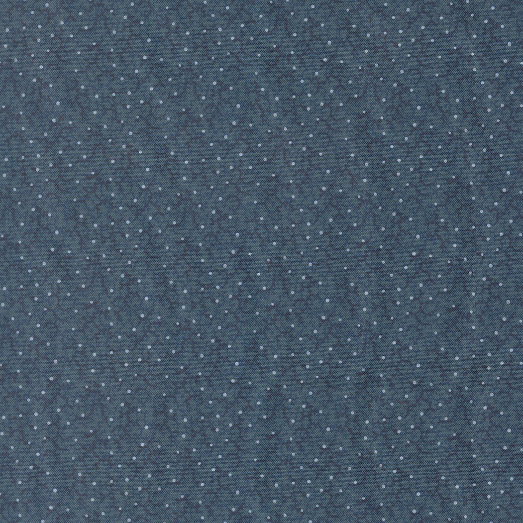 Pamelias Path Brambles Blenders Indigo by Betsy Chutchian for Moda