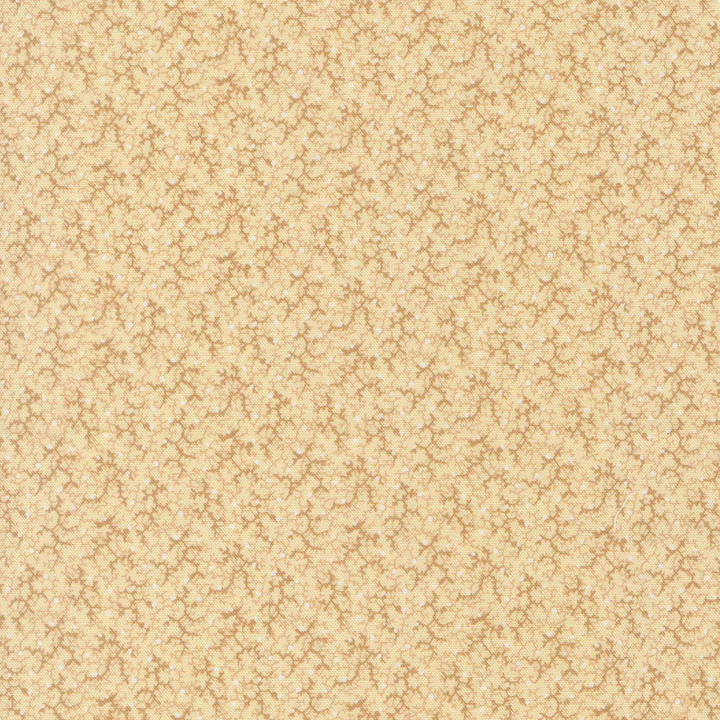 Pamelias Path Brambles Blenders Biscuit by Betsy Chutchian for Moda