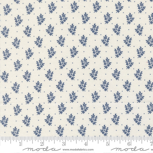 American Gatherings lll CLOUD NAUTICA