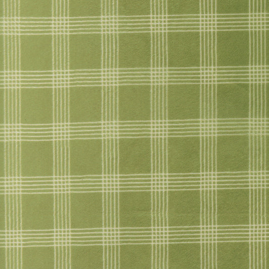 Nantucket Summer Quilt Cuddle Plaid Checks and Plaids GRASS by Camille Roskelley for Moda 55262-16QC