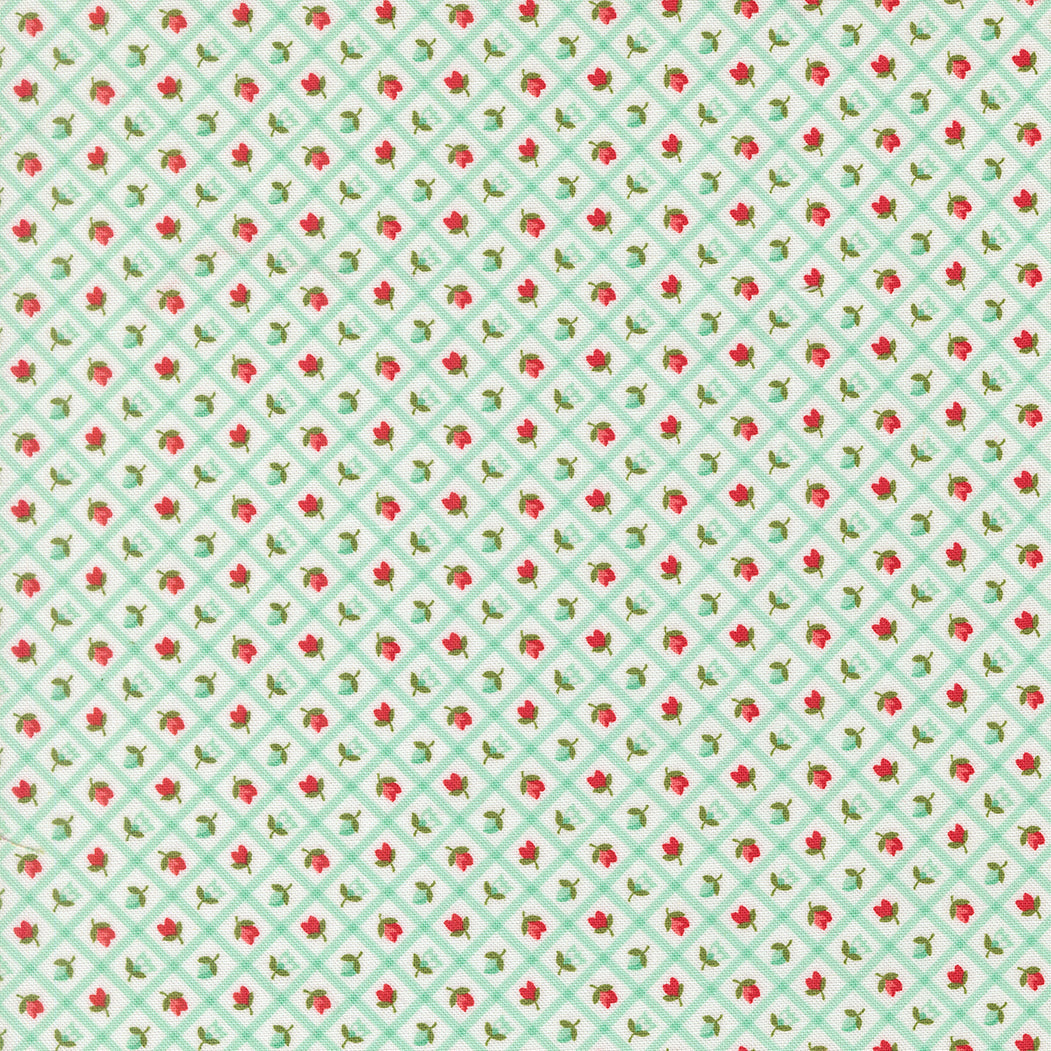 Bloomsberry Check Checks and Plaid Flower Aqua by Camille Roskelley for Moda Fabrics