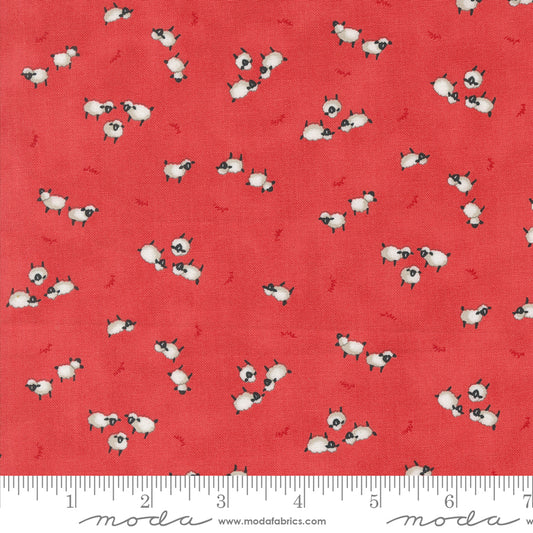 Willows Farm Sheeps in Pasture BARN RED