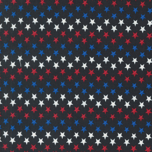 Red White And Bloom Stars in a Row Black by Deb Strain for Moda Fabrics
