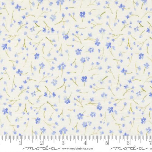 Sweet Cecily HYACINTH