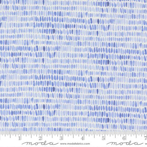 Sweet Cecily HYACINTH